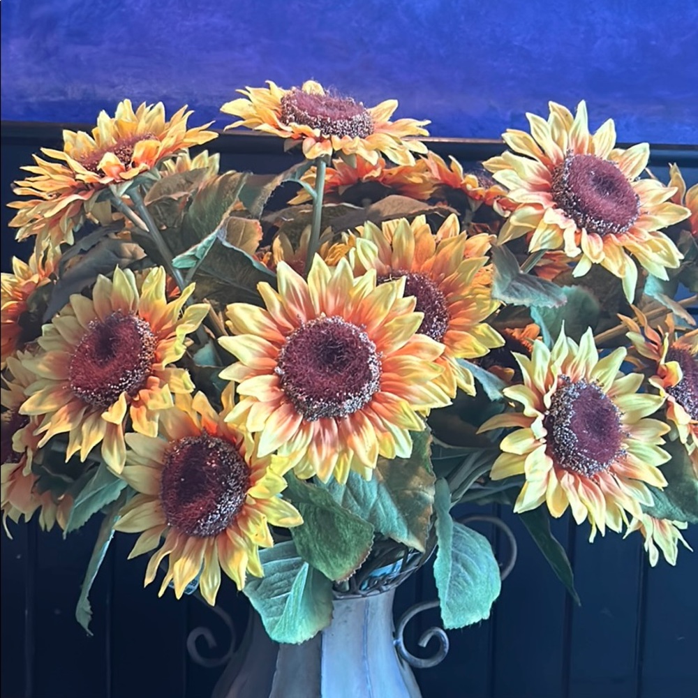 Meet your Posher, Tottenham